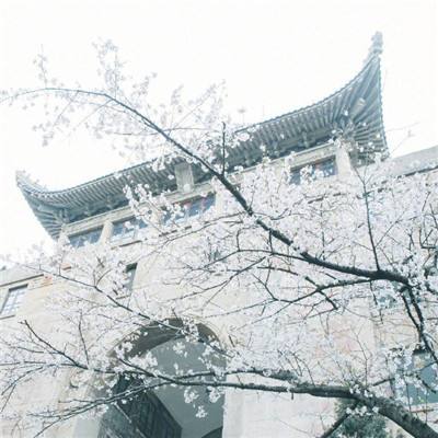 律动节奏音乐手机版下载
