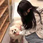 辐射避难所onlinebilibili下载